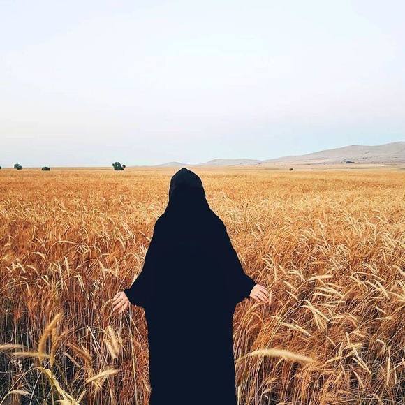 Meet your Posher, Alma - Picture 1 of 1